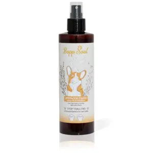 CHAMPÚ EN SECO BOPP SOUL 250ML