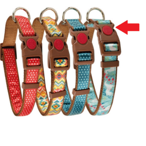COLLAR DOG SPRING