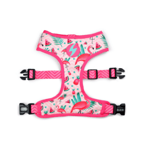 ARNÉS FLAMINGO MESH