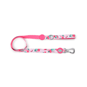 CORREA FLAMINGO