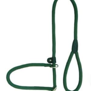 COLLAR + CORREA 2 EN 1