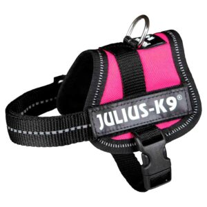 ARNÉS JULIUS K9 BABY2