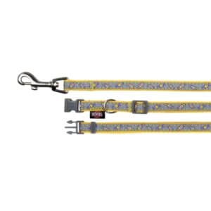 COLLAR + CORREA CACHORROS