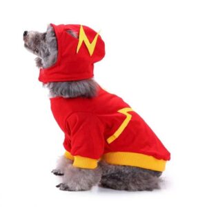 DISFRAZ FLASH SUPER HÉROE