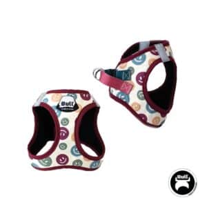 ARNÉS CONFORT FUN WALK