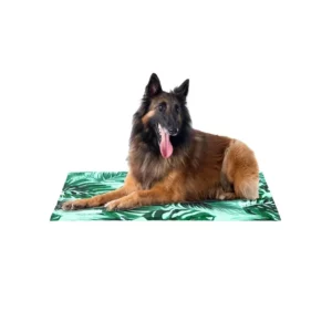 COLCHONETA REFRESCANTE ECO LINE FREEDOG