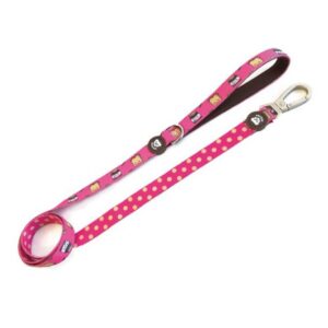 CORREA DOGTELLA PARA PERROS