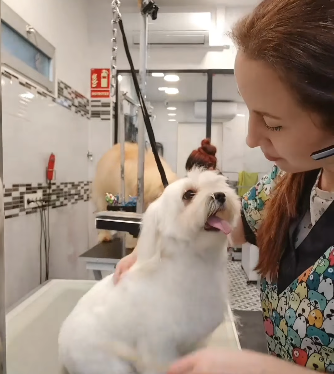 peluqueria2