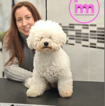 peluqueria3