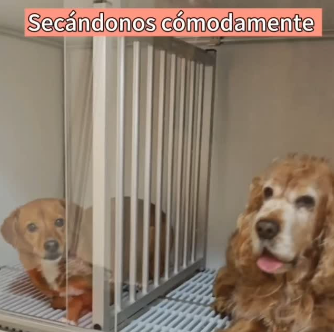 peluqueria4