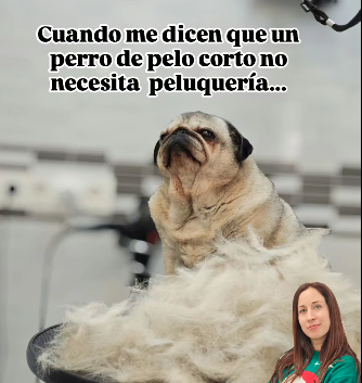 peluqueria5