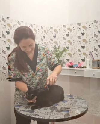 peluqueriagatos4