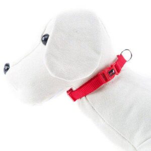 COLLAR NYLON NAYECO PARA PERROS EN VARIOS COLORES