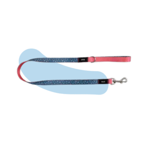 CORREA YAGU NYLON MONSTER PARA PERROS | RESISTENTE, COLORIDA Y DE 120 CM