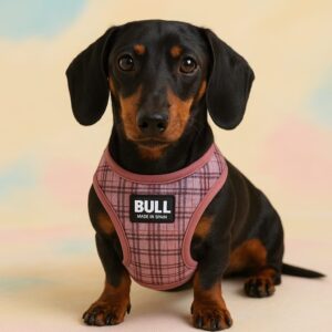 ARNÉS YAGU CONFORT TARTÁN ROSA PARA PERROS | CLÁSICO, CÓMODO Y CON REFLECTANTE DE SEGURIDAD