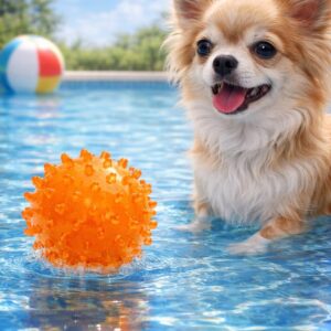PELOTA DE PINCHOS DOG COMETS 5 CM – COLOR NARANJA